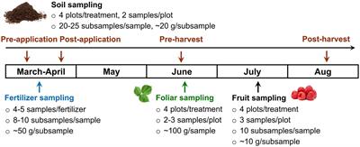 <mark class="highlighted">Microbial Safety</mark> of Dairy Manure Fertilizer Application in Raspberry Production